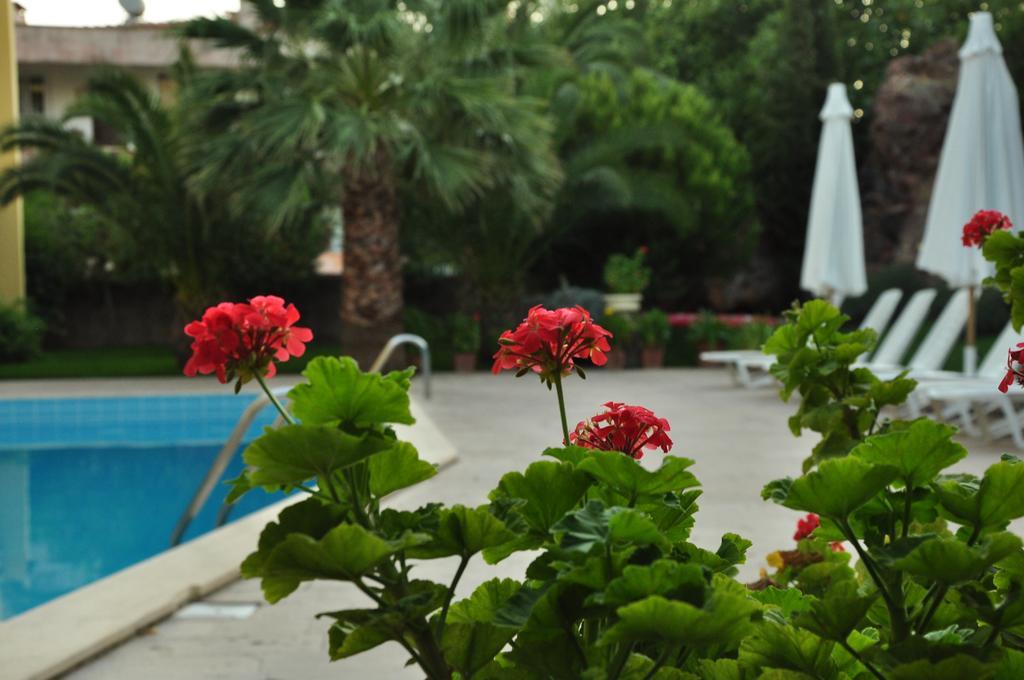 Palm Court Suites Ayvalı Kültér fotó