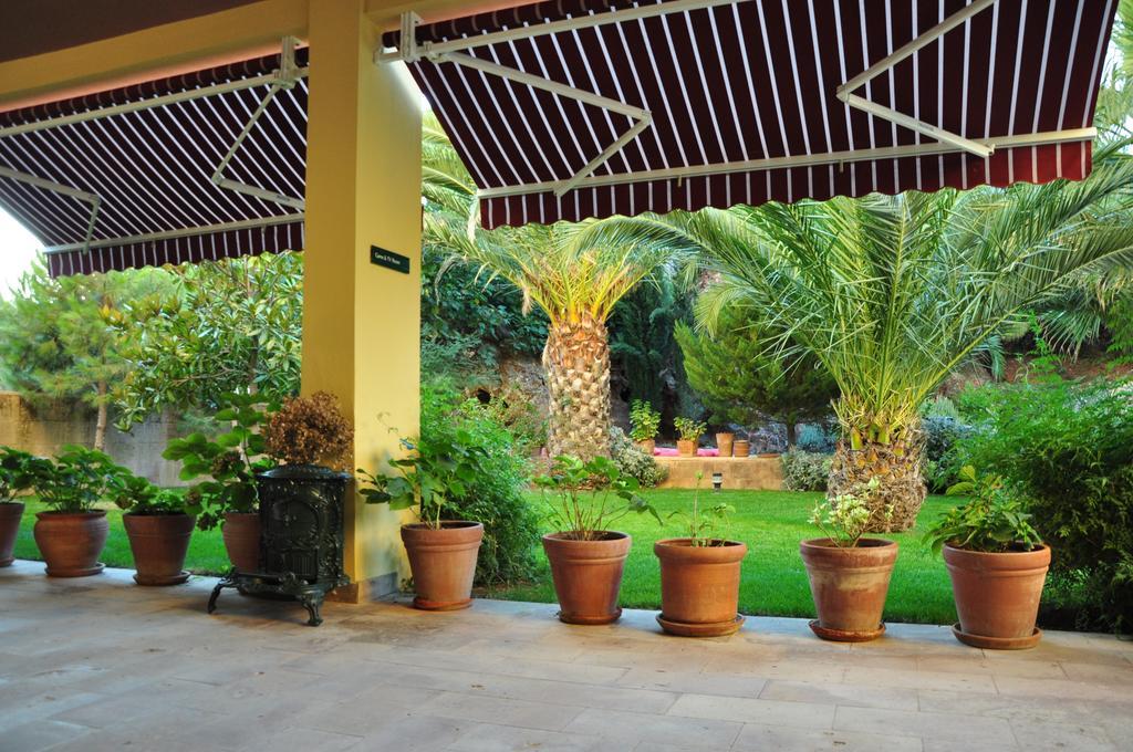 Palm Court Suites Ayvalı Kültér fotó