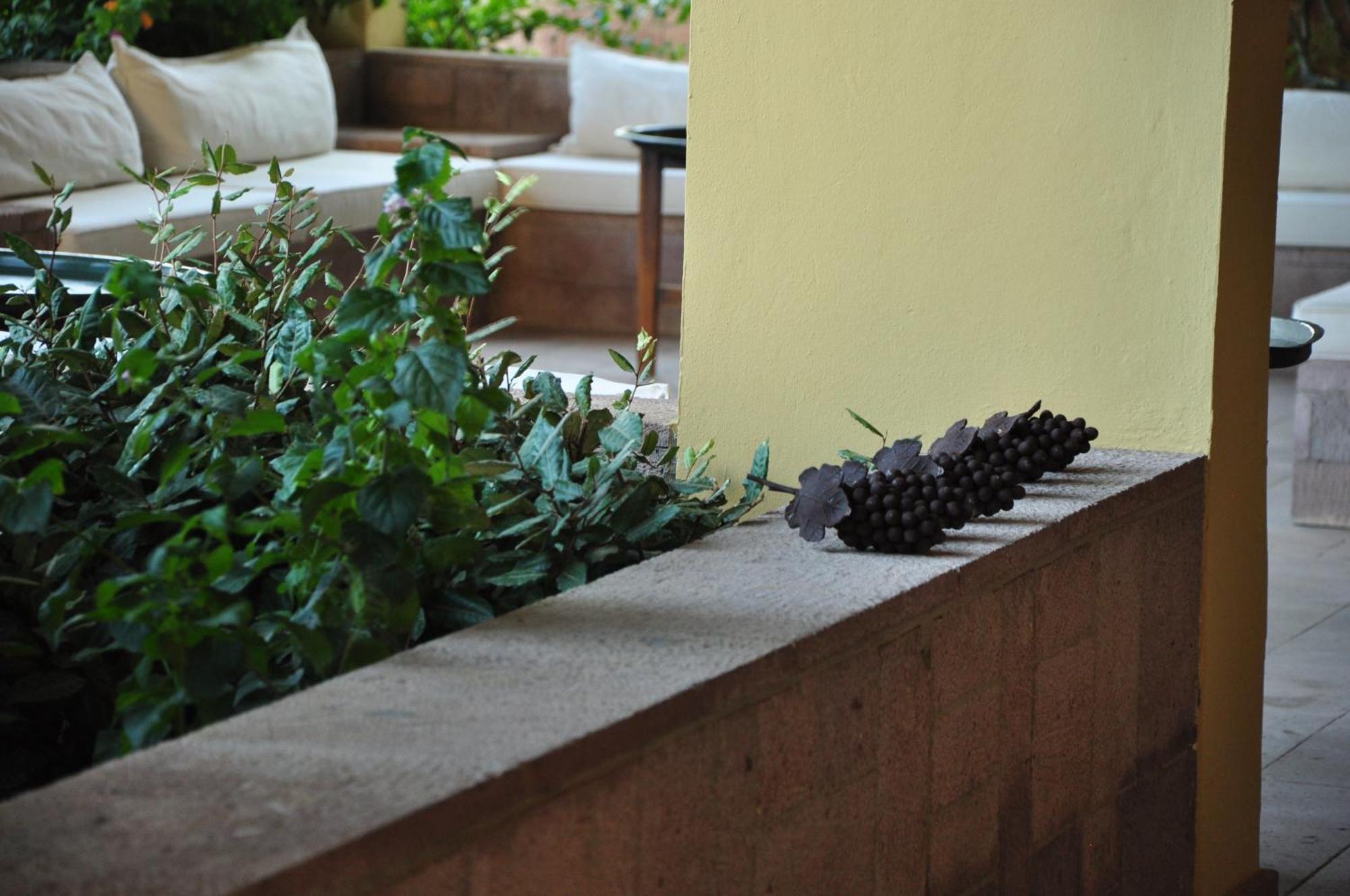 Palm Court Suites Ayvalı Kültér fotó