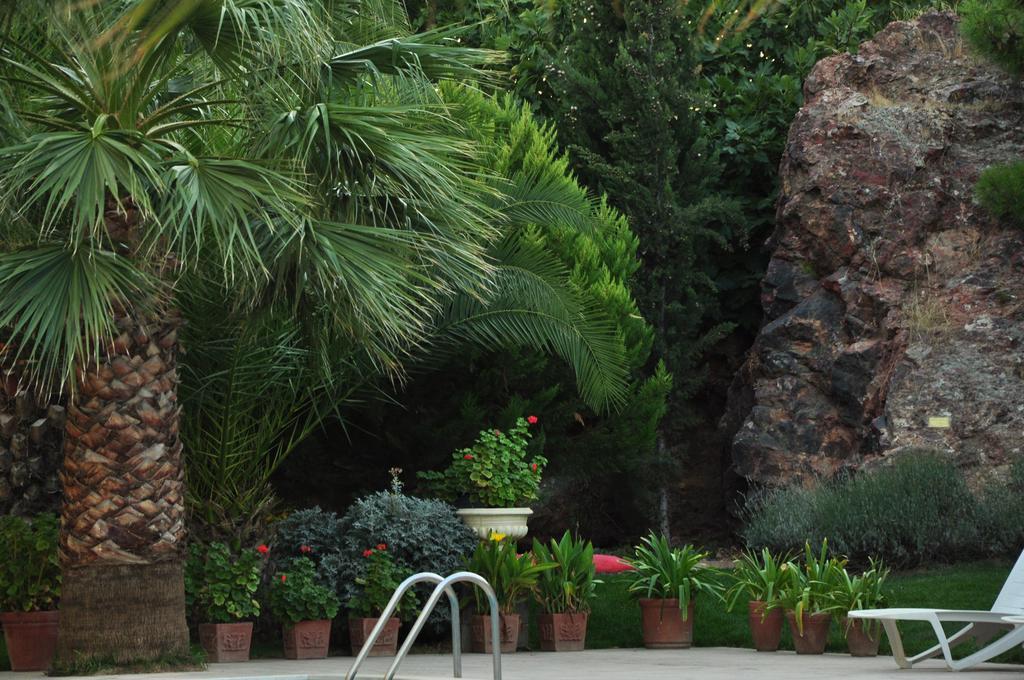 Palm Court Suites Ayvalı Kültér fotó