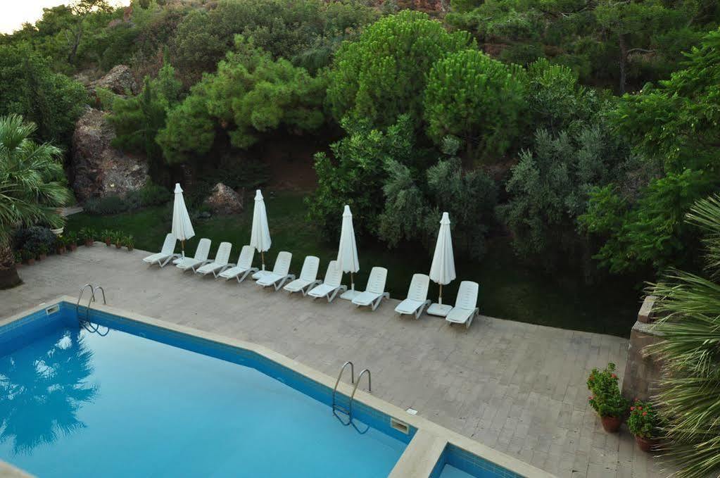 Palm Court Suites Ayvalı Kültér fotó