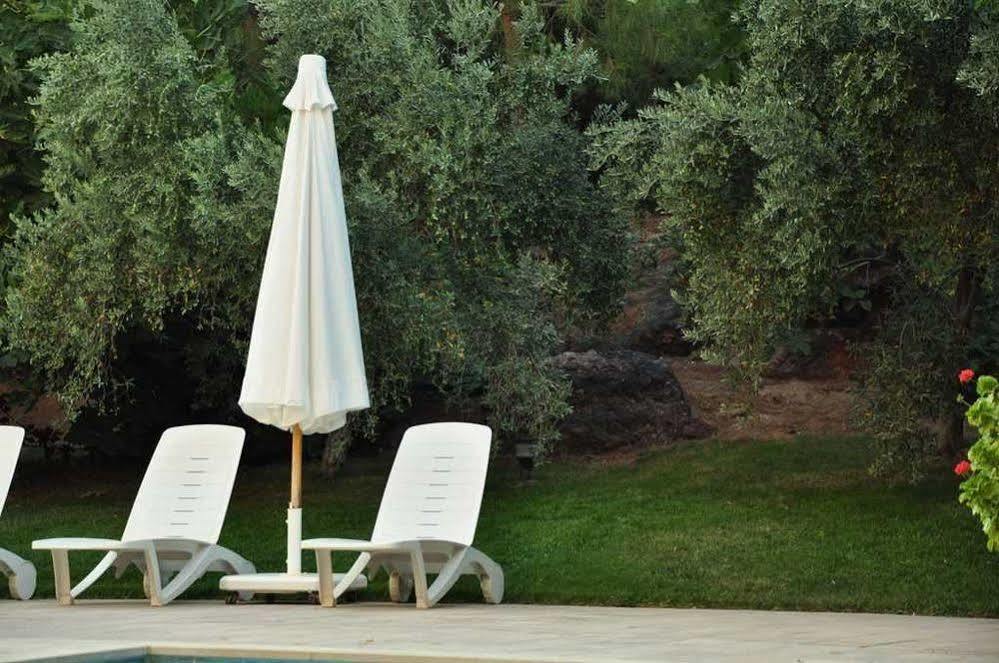 Palm Court Suites Ayvalı Kültér fotó